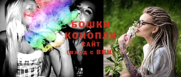 соль ск Кулебаки