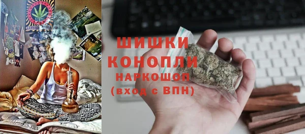 соль ск Кулебаки