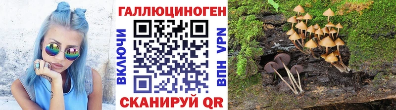 Галлюциногенные грибы GOLDEN TEACHER  кракен ССЫЛКА  Чапаевск  закладка 